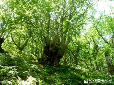 Sierra del Caurel:Courel; Lugo_Galicia; excursiones cerca madrid ruta pedriza viajes en verano